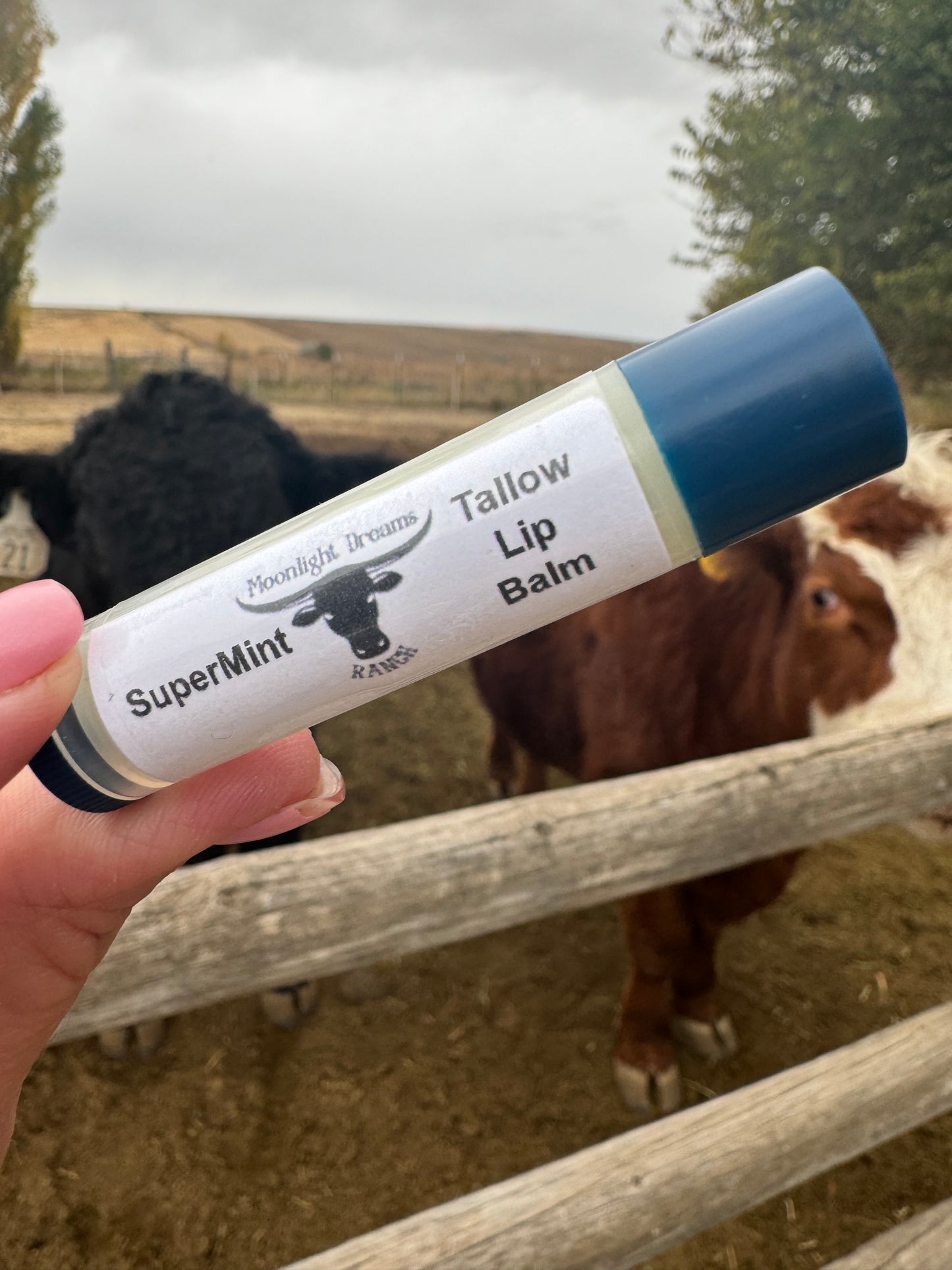 Tallow Lip Balm - Supermint
