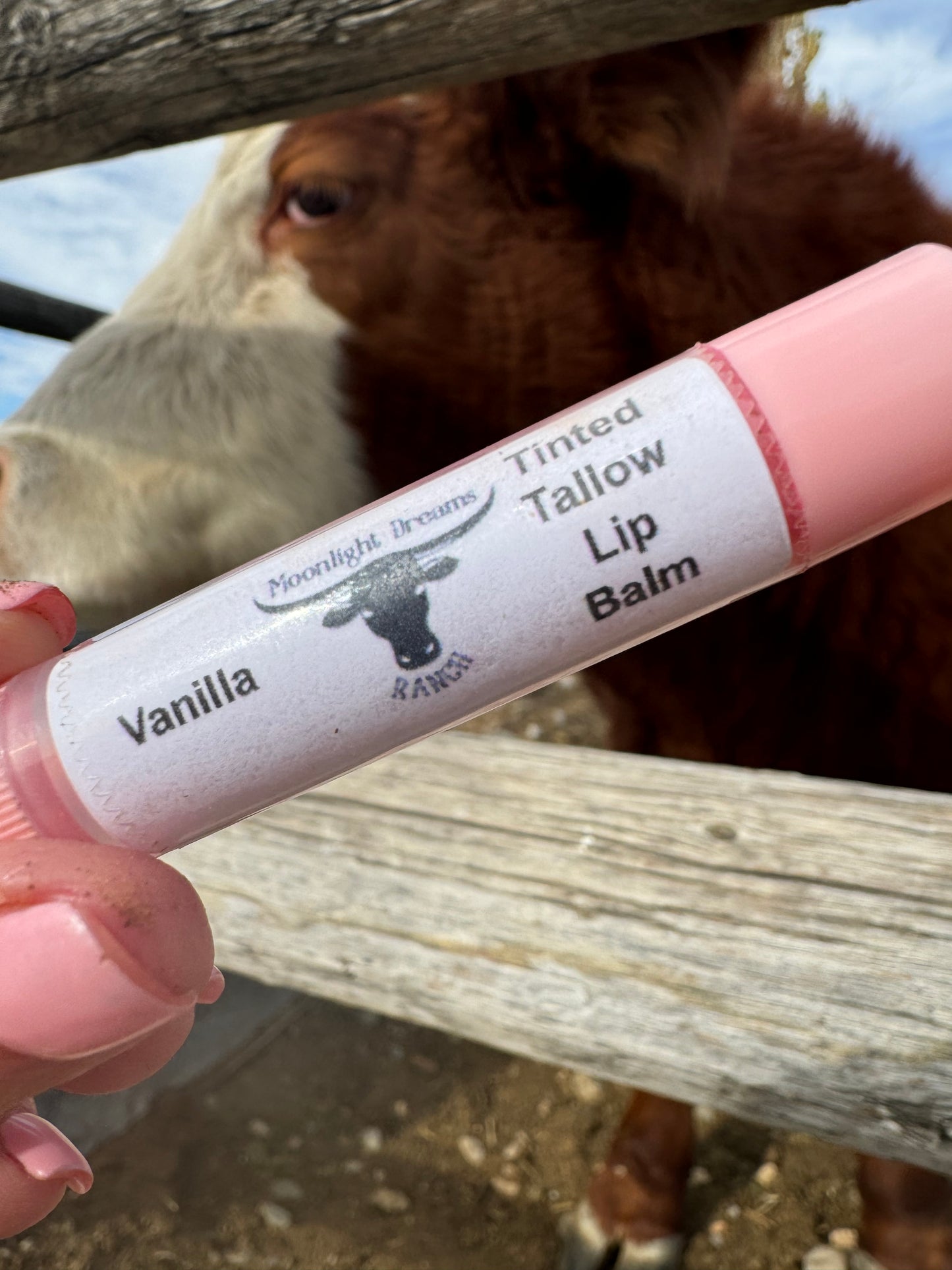 Tallow Lip Balm- Tinted