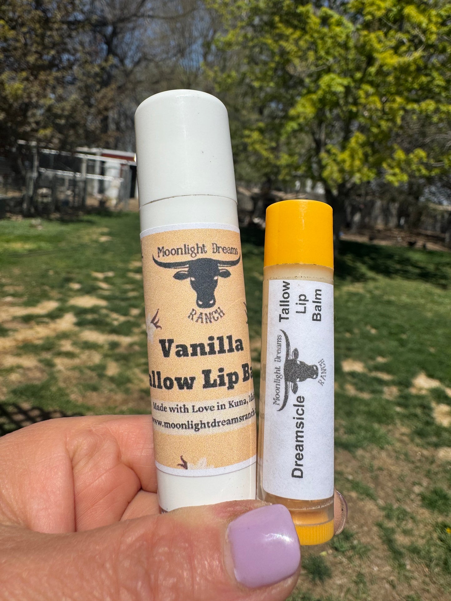 Giant Vanilla Tallow Lip Balm