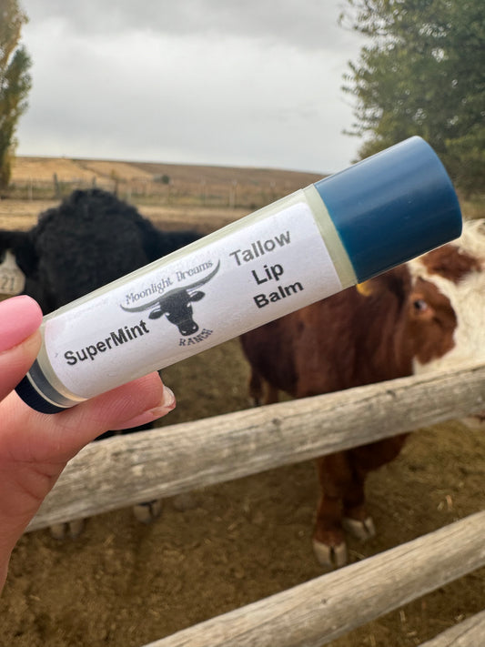 Tallow Lip Balm - Supermint