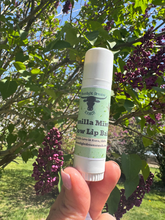 Giant   Vanilla Mint Tallow Lip Balm
