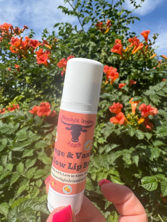 Giant Orange Vanilla Tallow Lip Balm